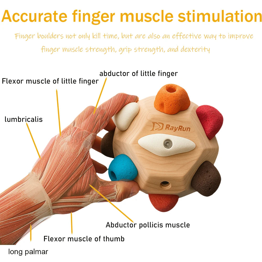 Finger Rock Climbing Ball，Finger Boulder Block Rock Climbing Training Set ，20 Resin Holds, Wooden Boulder Block ball, Tools